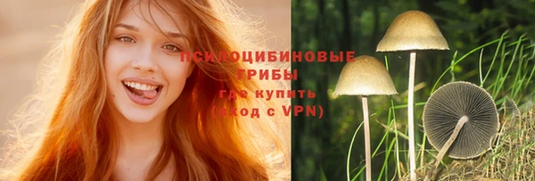 мет Гусиноозёрск