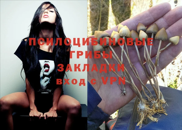 apvp Горно-Алтайск