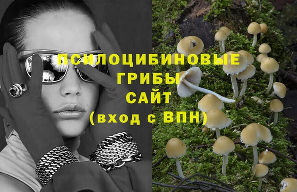 амфетамин Гусь-Хрустальный