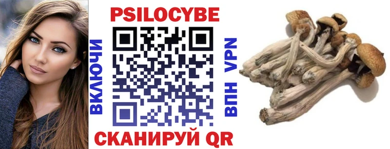 Псилоцибиновые грибы MAGIC MUSHROOMS  Михайлов 