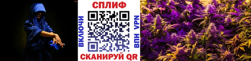 Бошки Шишки сатива MEGA tor Михайлов